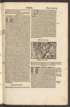 Incipit liber Hester.