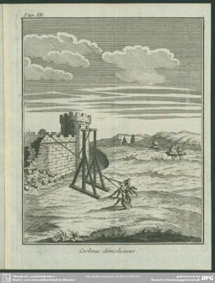 Plan. XII. Corbeau démolisseur