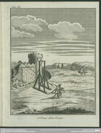 Plan. XII. Corbeau démolisseur