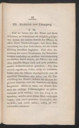 XII. Rückblick und Uebergang