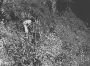 Berghang : Mann an einem Berghang mit Vegetation