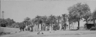 Palmen in Khartum [Reise nach dem Sudan, Band 1]