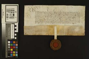 Mainz (St. Stephan): Schutzbrief Landgraf Wilhelms III. für das St. Stephansstift zu Mainz