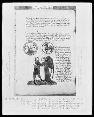 Fränkisches Losbuch — ---, Folio 42rectoBuchseite