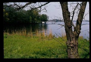 Havel b. Werder 16.5.80.