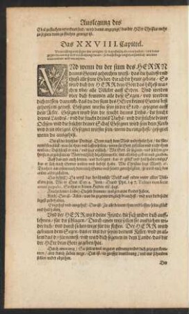 Das XXVIII. Capittel.