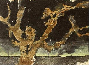 Sterbender Baum