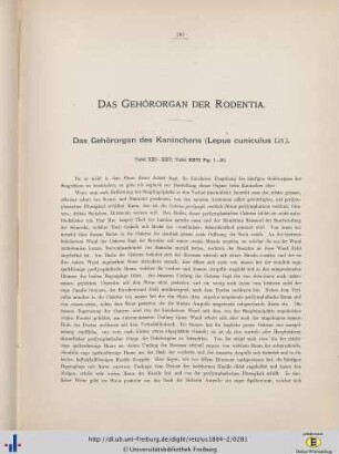 Das Gehörorgan der Rodentia.