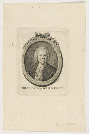 Bildnis des Nils Rosén von Rosenstein