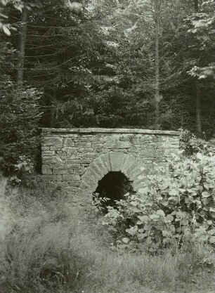Osterzgebirge. Bobritzschtal. Grabentour, Mundloch (Austritt) am 5. Lichtloch des Rothschönberger Stollens
