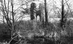 Weißenberg-Maltitz. Holländermühle, Ruine
