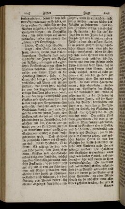 Ziege - Zollenspicker