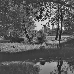 Landschaftsbild. Fließgewässer im Spreewald. : Wobraz krajiny. Groble w Błótach.