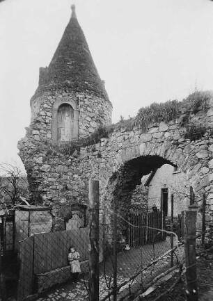 Die Aul; Zwingenberg, Auf dem Berg