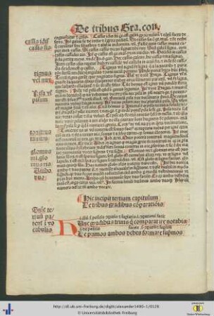 Capitulum tertium de tribus gradibus comparationis.