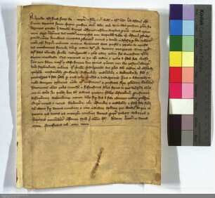 Alexander IV bestätigt dem Deutschen Orden alle seine Privilegien.