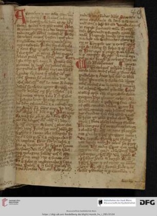Tractatus de arbore amoris