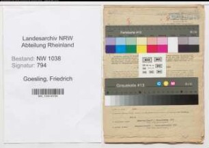 Entnazifizierung Friedrich Goesling , geb. 02.10.1892 (Autoschlosser)