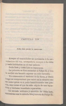 Capítulo XIV - Doña Inés pierde la esperanza.