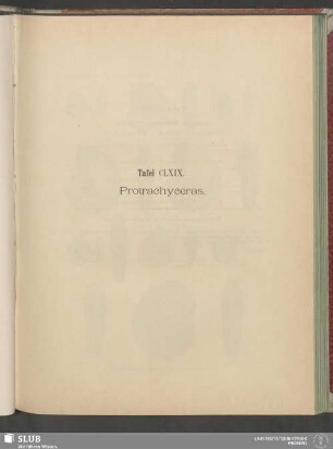 Tafel CLXIX. Protrachyceras