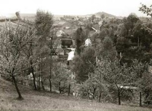 Reinhardtsdorf. Ortsteilansicht nach Westen. Im Hintergrund der Wolfsberg