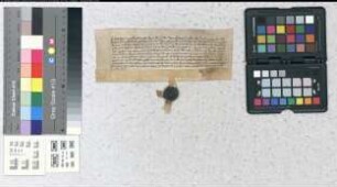 Bitte des Ludolf von der Aldenborch an den Erzbischof Dietrich von Köln Johann von Haxthausen mit dem von ihm resignierten Burglehn zu Bredenborn zu belehnen.
