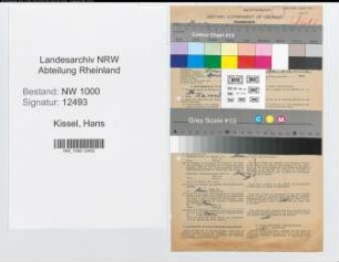 Entnazifizierung Hans Kissel, geb. 10.01.1900 (Bankbeamter)