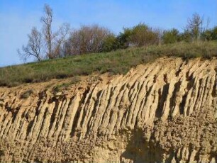 Pyrenäen - Berghang : Zerklüftete Hangformation. Aufgenommen in den spanischen Pyrenäen bei Berga am 17. April 2012
