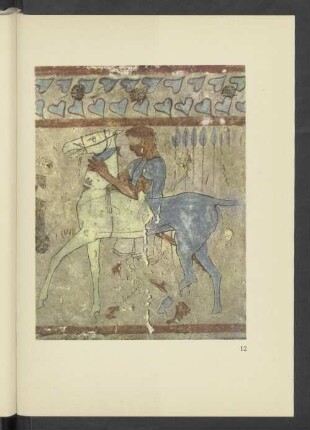 Tarquinia