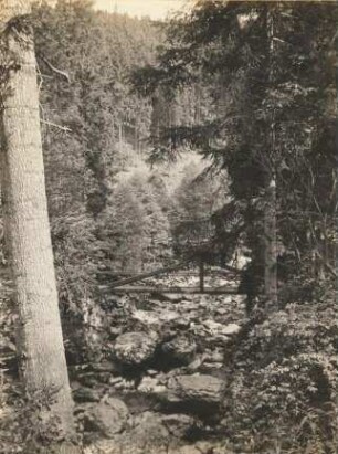 Schwarzwald, Höllental. Teufelssteg