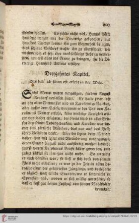 Dreyzehntes Kapitel