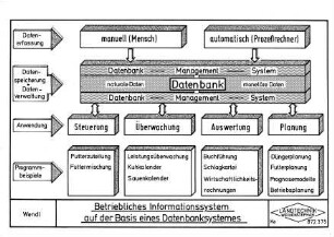 Betriebliches Informationssystem auf der Basis eines Datenbanksystemes