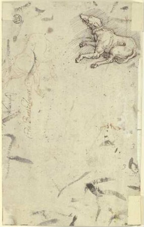 Zwei Hunde