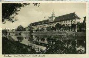 Breslau, Universität