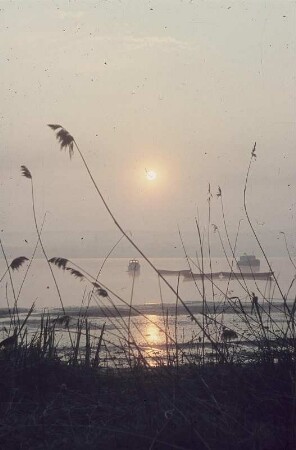 Bodensee, Abendstimmung