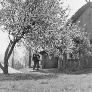 Strohgedecktes Blockhaus in Burg-Kauper. : Ze słomu skryte kładźity twar statoka w Kupaŕskich Bórkowach.