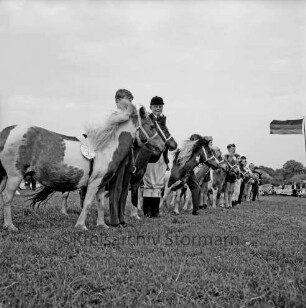 Sportveranstaltung: Pferdeleistungsschau: Turniergemeinschaft Stormarn-Süd mit Reit- und Fahrverein Trittau und Umgebung von 1922 e.V.: Vorführung des Ponygestüts Auberghof: Aufstellung der Ponys mit ihren jungen Reitern auf Turnierplatz