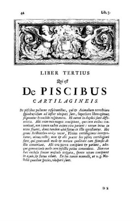 Liber Tertius qui est de Piscibus Cartilagineis