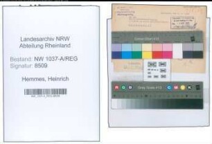 Entnazifizierung Heinrich Hemmes , geb. 08.07.1904 (Feuerwehrmann)