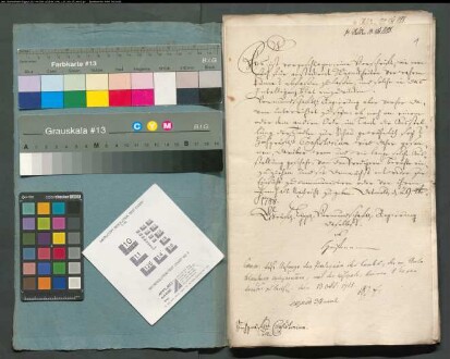 Ausstellung der Toten zur Schau