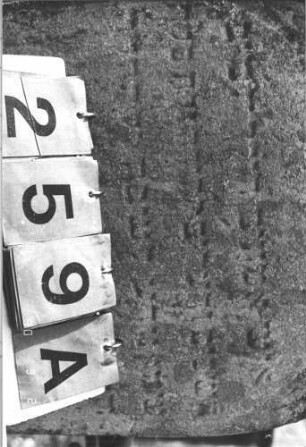 Grabstein 259 (Index: 100009241) Zustand: leicht verwittert Maße HxBxT: 102x48x23 cm: Grabstein 259A (Detailaufnahme)