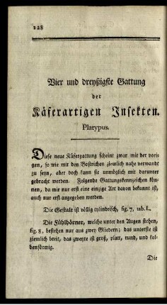 Vier und dreyßigste Gattung der Käferartigen Insekten. Platypus.