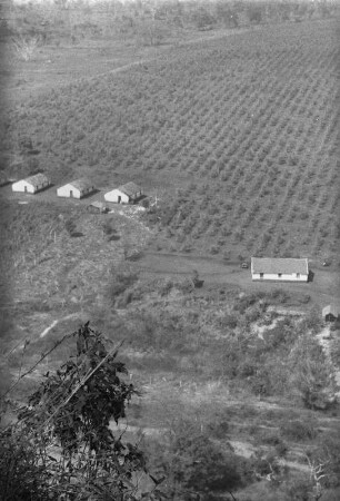 Kaffeeplantage : Blick auf eine Fazenda mit Kaffeepflanzungen und Gebäuden bei São Carlos.