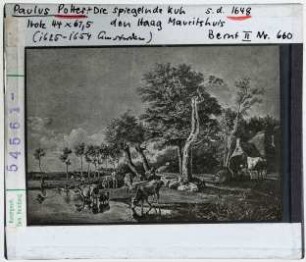 Paulus Potter: Die spiegelnde Kuh. Den Haag, Mauritshuis