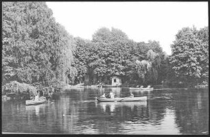 Mittweida. Schwanenteich mit Ruderkähnen