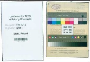 Entnazifizierung Robert Stahl , geb. 22.08.1903 (Vertreter)