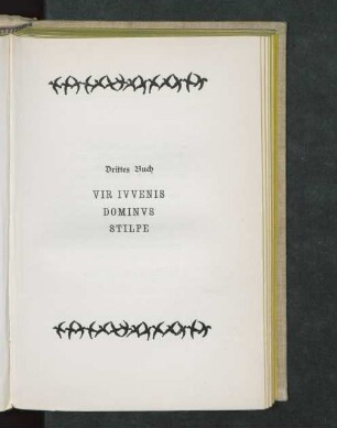 Drittes Buch. VIR IVVENIS DOMINVS STILPE