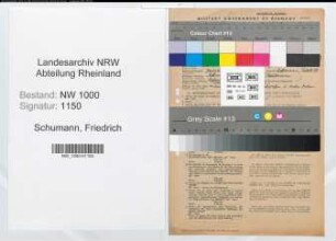 Entnazifizierung Friedrich Schumann, geb. 03.06.1910 (Kaufmann)