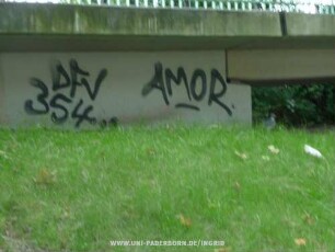 DFV 354 AMOR