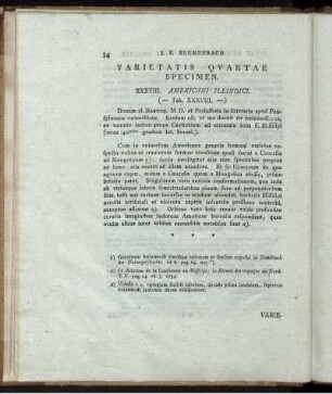 Varietatis Quartae Specimen. (Tab. XXXVIII.)